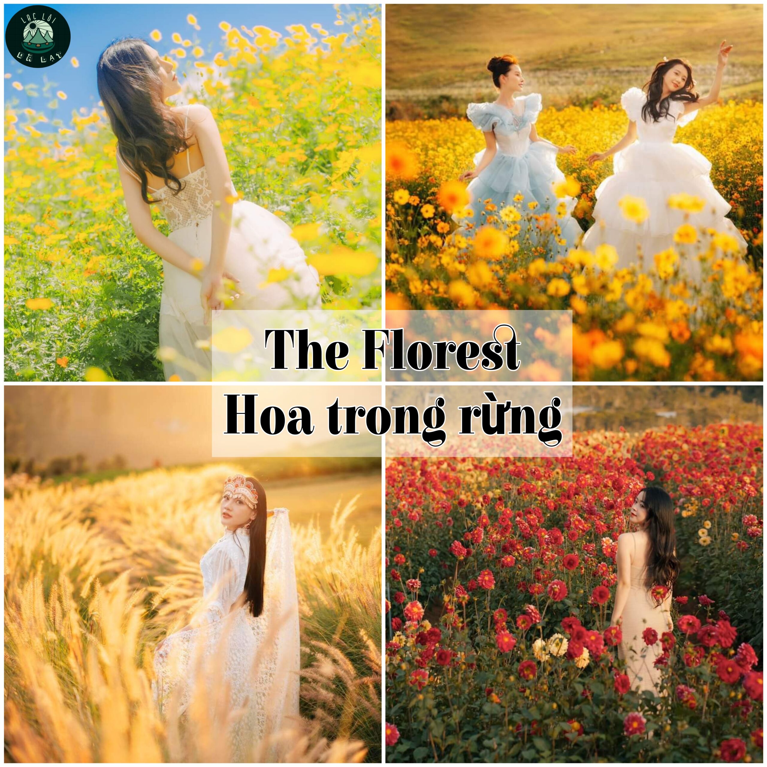 Picsart_24-03-26_17-58-45-818